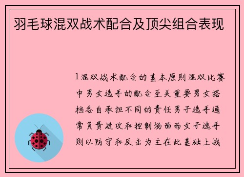 羽毛球混双战术配合及顶尖组合表现